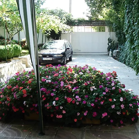 Villa Exotica-3