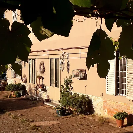 La Casa del Maestro-2