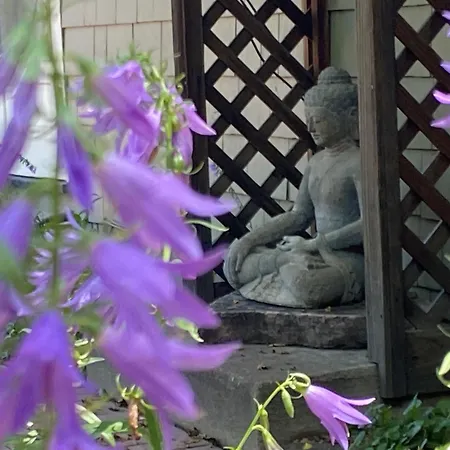 Boulder Guest House-3