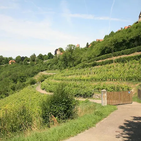 Glocke Weingut Und Hotel-3