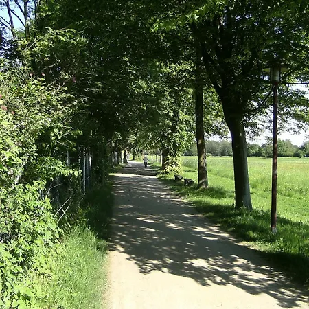 Leisewitz' Garten-3
