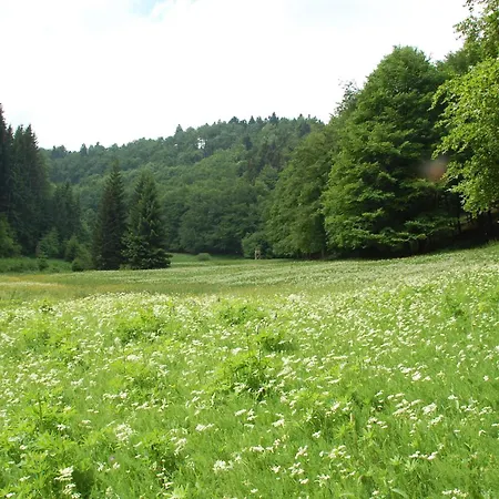 Gasthof 'Zum Reifberg'-3