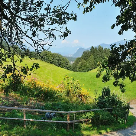Gasthof Und Hotel Rieder Gmbh-3