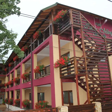 Pension Delta Miraj-2