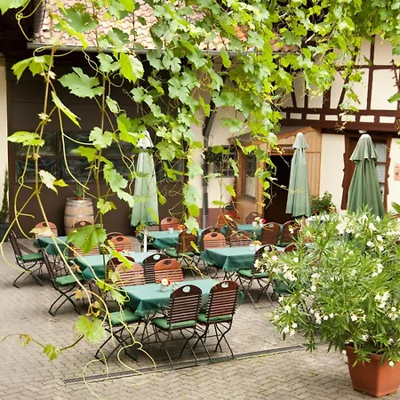 Weingut und Gästehaus Vongerichten-3