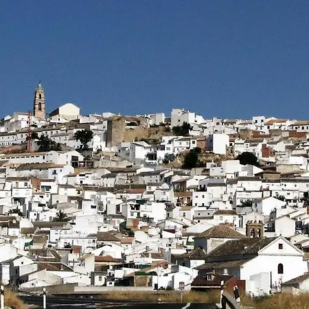 Hostal Los Claveles-3