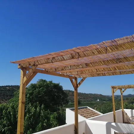 Casa Da Osga-3
