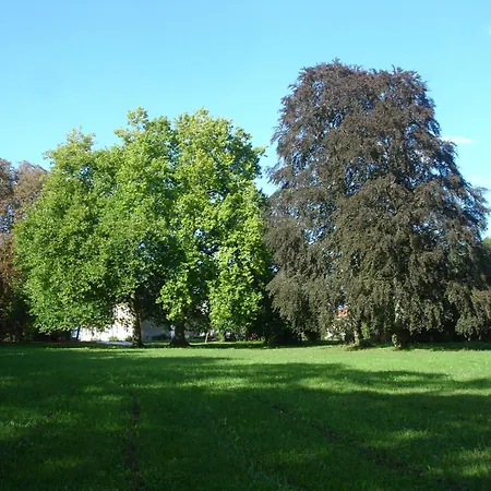 Maison d'hôtes Le Château de Puxe-2