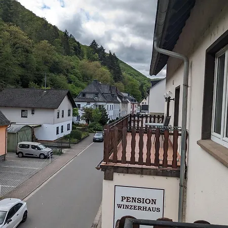 Hotel Pension Winzerhaus-2