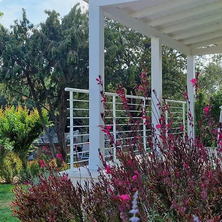 Lido Del Faro-3