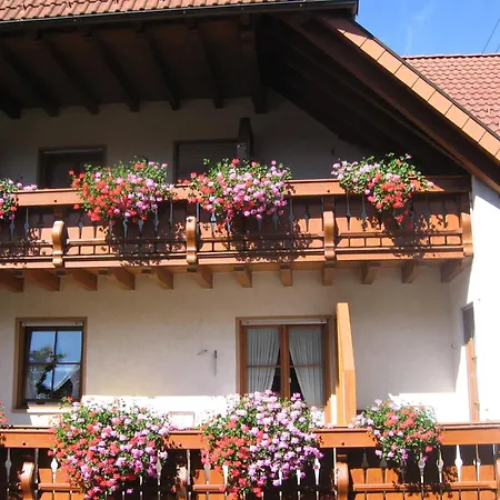 Hotel Gasthaus Zum Hirschen-3