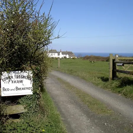 Lower Tresmorn Farmhouse-2