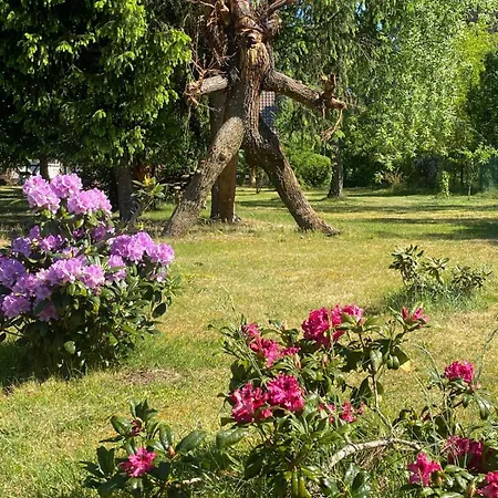 Pension Haus zum See-3