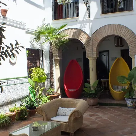 Patio Cordobes-3