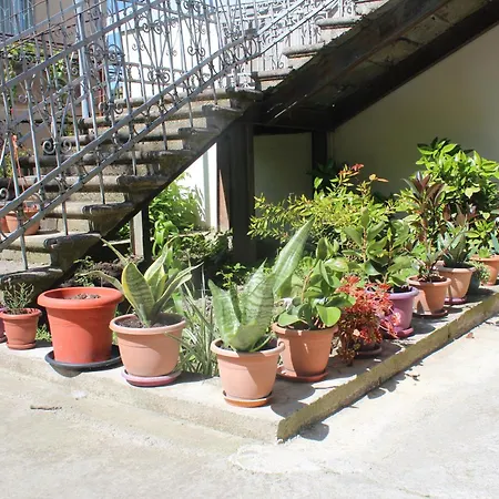 Guesthouse Levani-3