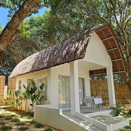 Lio Palm Villas-3