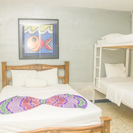 Hotel Casa Telma-3