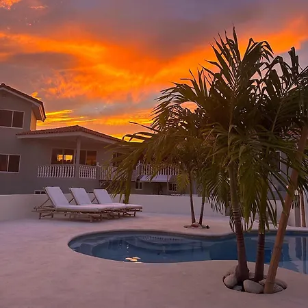 Palm View-3