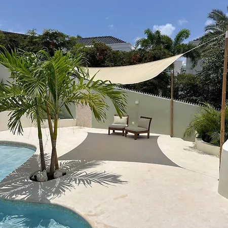 Palm View-2