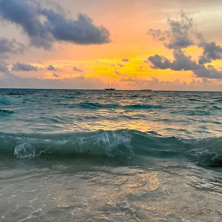 Heron Beach Hotel - Dhiffushi, Maldives-3