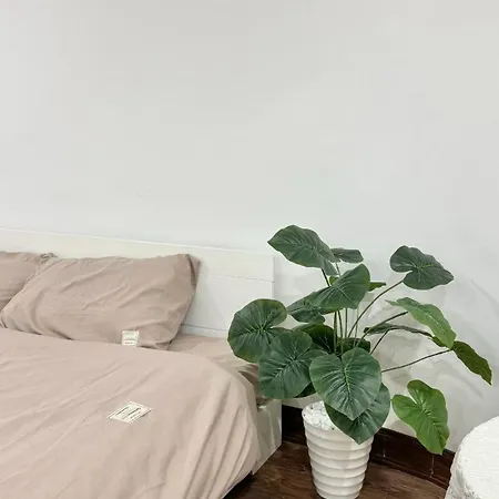 Bom House-3