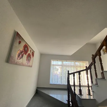 Casa Andreea-3