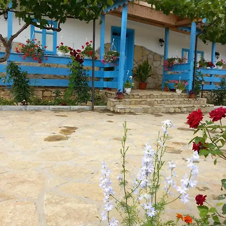 Casa Rasaritul Soarelui Sarichioi-3