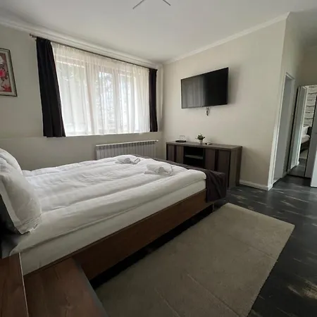 Vila Casa Cu Tei-2