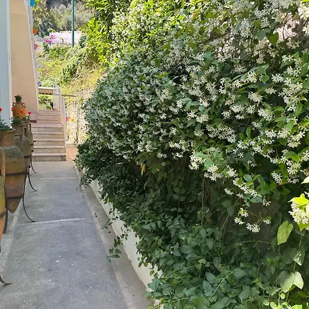 Villa Striano Boutique-2