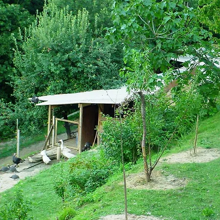 Podere Caldaruccio La Pineta - Bungalow-2