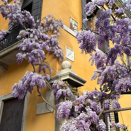 Carbonaia Venezia-3