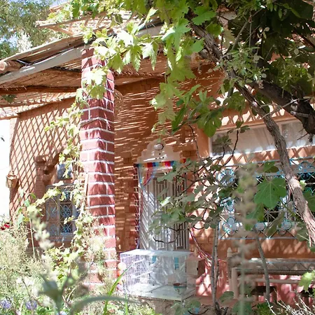 Ecolodge Aroma Dades-2
