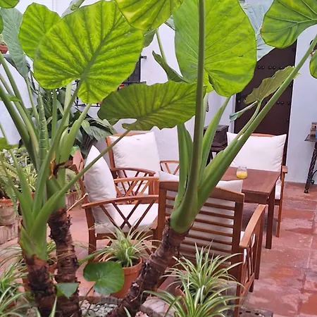 Hostal Gran Capitan-2