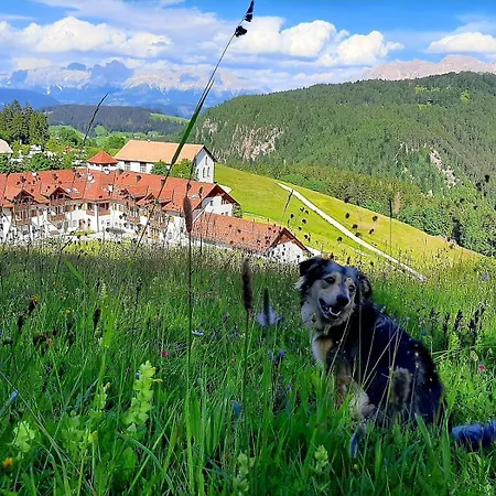 Gasthof Schmiederalm-3