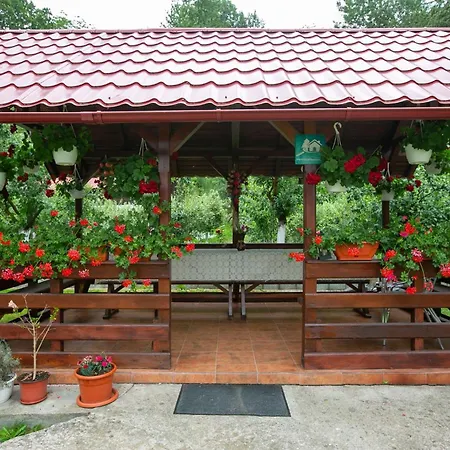 Casa Madalina-2