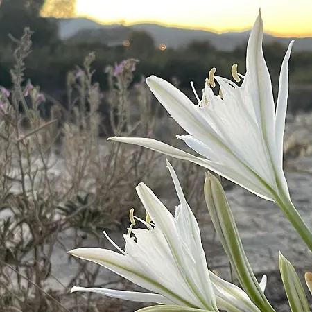 Sunrise Sardinia Posada-3