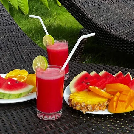 Ocean View Tourist Guest House At Negombo Beach Near The Airport-2