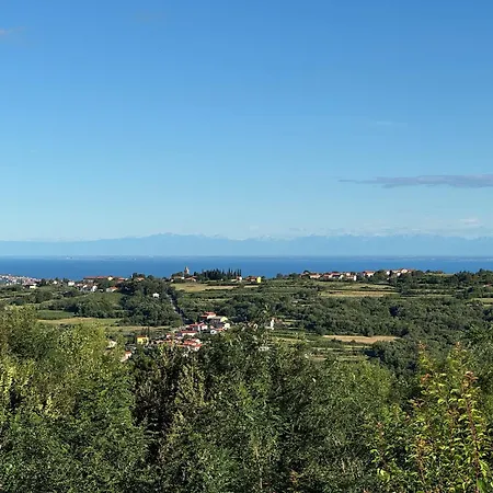 Guesthouse Green Istria-3