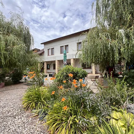 Casa Vera, Tudor Vladimirescu-3