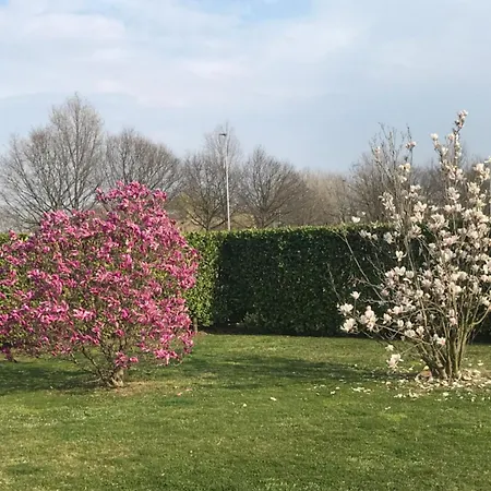 Il Salice-3