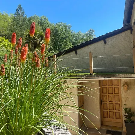 Le petit roquet-3