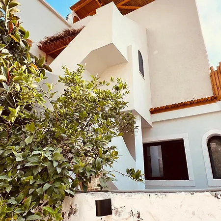 Casa Boha-2