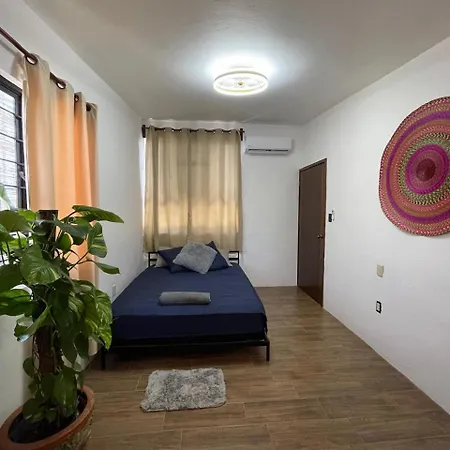 Casa Jaguares-2