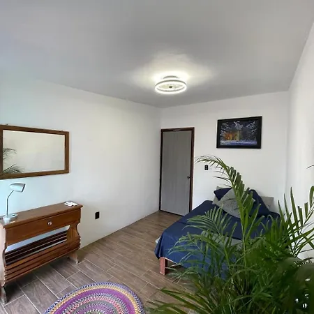 Casa Jaguares-3