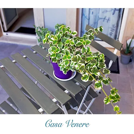 Casa Venere-2