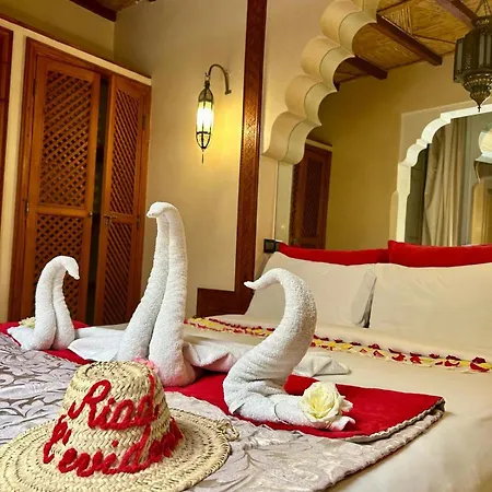 Riad L'Evidence-2