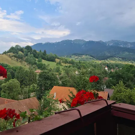 Vila Muntii Bucegi & Spa-3