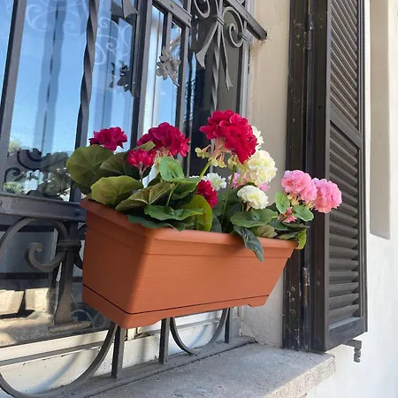 Villa Simona Malpensa-2