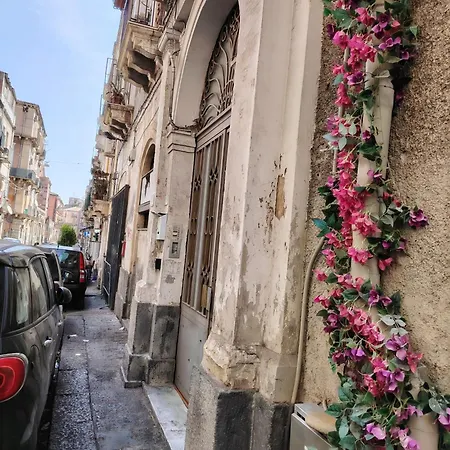 Carmen House-2