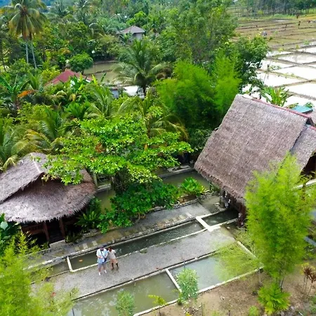 Tropical Jungle Lodge & Jungle Trekking-2